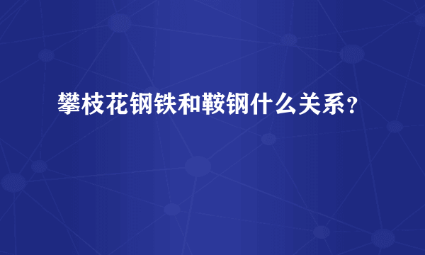 攀枝花钢铁和鞍钢什么关系？