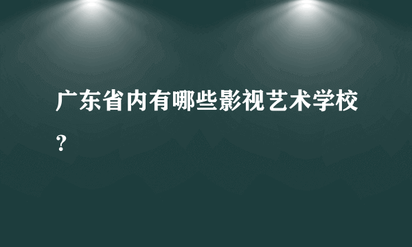 广东省内有哪些影视艺术学校？