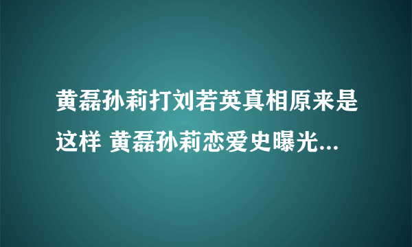 黄磊孙莉打刘若英真相原来是这样 黄磊孙莉恋爱史曝光_飞外网