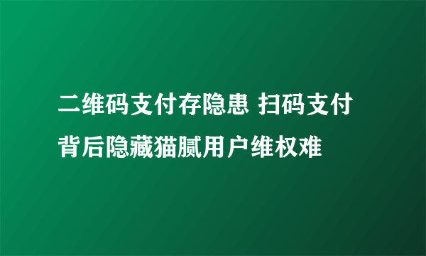 二维码支付存隐患 扫码支付背后隐藏猫腻用户维权难