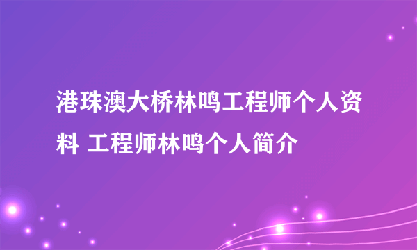 港珠澳大桥林鸣工程师个人资料 工程师林鸣个人简介