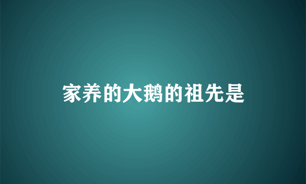 家养的大鹅的祖先是