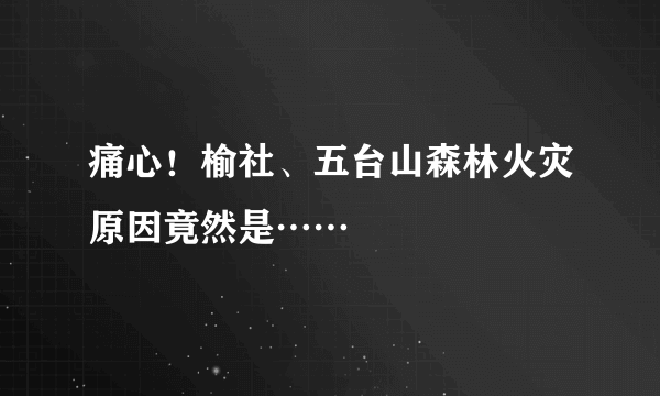 痛心！榆社、五台山森林火灾原因竟然是……