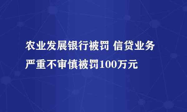 农业发展银行被罚 信贷业务严重不审慎被罚100万元