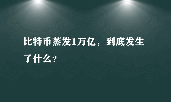 比特币蒸发1万亿，到底发生了什么？