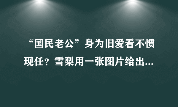 “国民老公”身为旧爱看不惯现任？雪梨用一张图片给出了标准答案- 飞外网