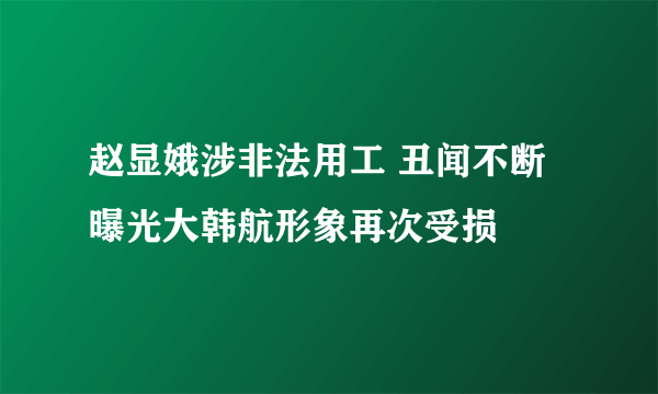 赵显娥涉非法用工 丑闻不断曝光大韩航形象再次受损