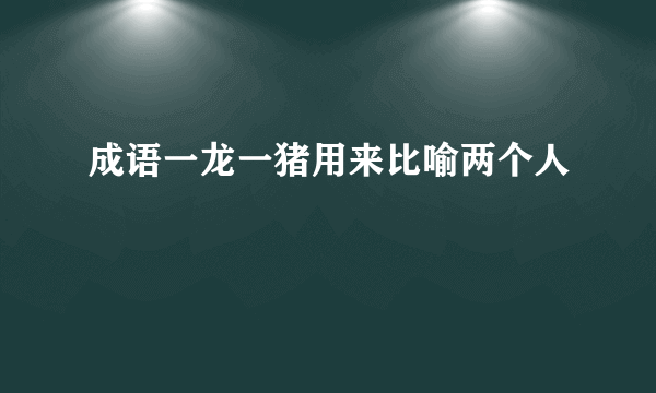 成语一龙一猪用来比喻两个人