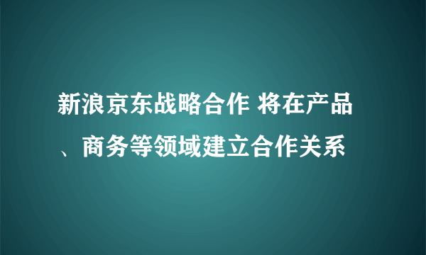 新浪京东战略合作 将在产品、商务等领域建立合作关系