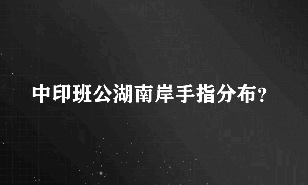 中印班公湖南岸手指分布？