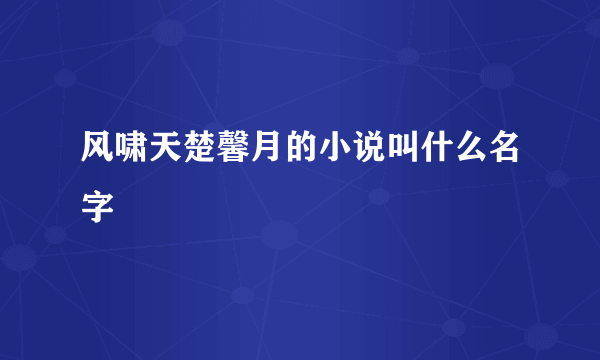 风啸天楚馨月的小说叫什么名字