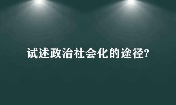 试述政治社会化的途径?