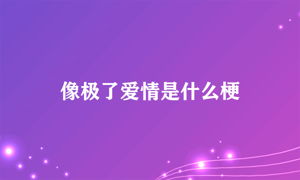 像极了爱情是什么梗