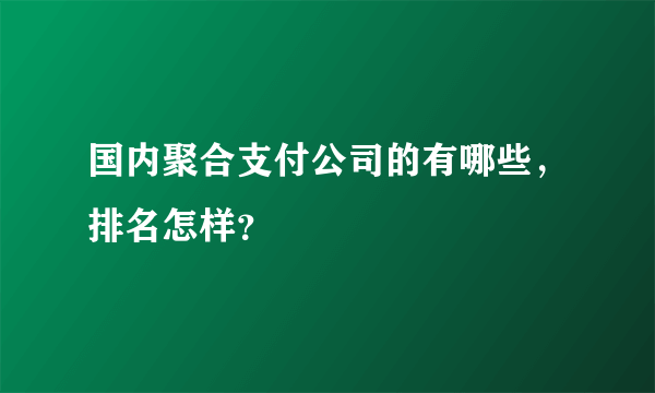 国内聚合支付公司的有哪些，排名怎样？