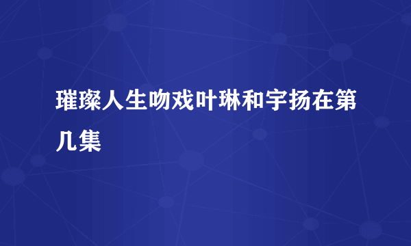 璀璨人生吻戏叶琳和宇扬在第几集