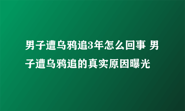 男子遭乌鸦追3年怎么回事 男子遭乌鸦追的真实原因曝光