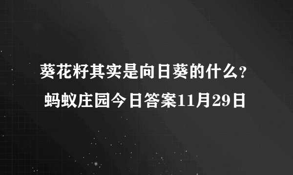 葵花籽其实是向日葵的什么？ 蚂蚁庄园今日答案11月29日