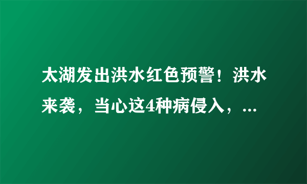 太湖发出洪水红色预警！洪水来袭，当心这4种病侵入，尤其是这2种