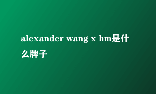 alexander wang x hm是什么牌子