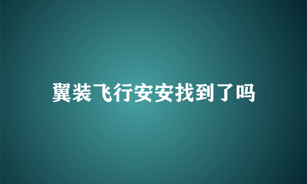 翼装飞行安安找到了吗