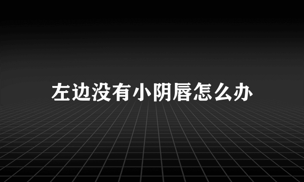 左边没有小阴唇怎么办