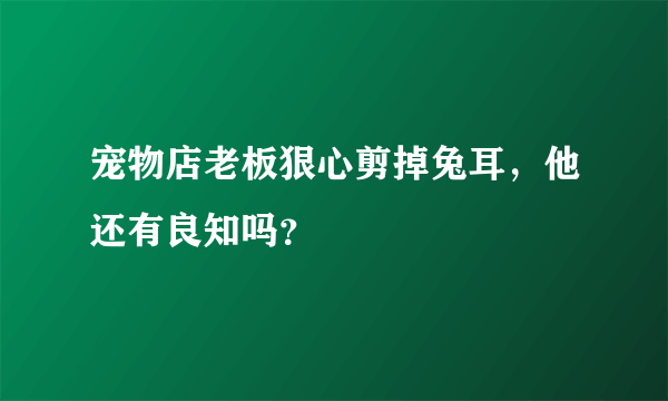 宠物店老板狠心剪掉兔耳，他还有良知吗？