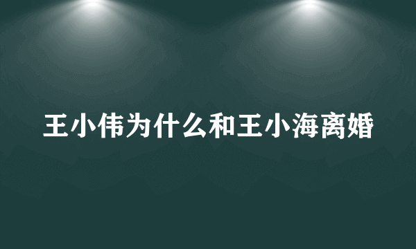 王小伟为什么和王小海离婚