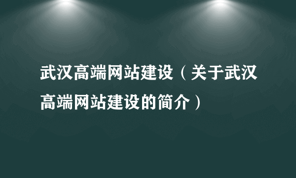 武汉高端网站建设（关于武汉高端网站建设的简介）