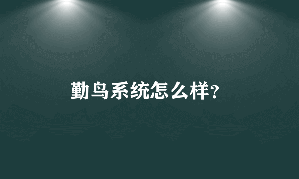 勤鸟系统怎么样？