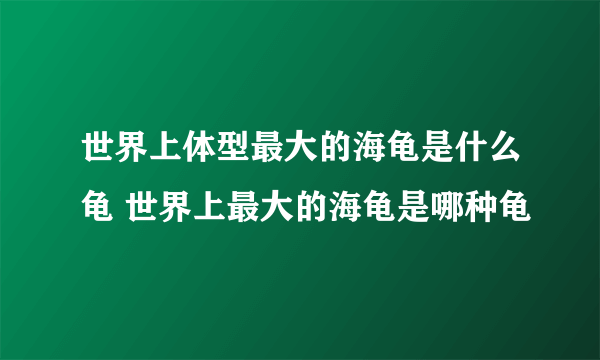 世界上体型最大的海龟是什么龟 世界上最大的海龟是哪种龟