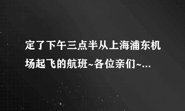 定了下午三点半从上海浦东机场起飞的航班~各位亲们~如何从扬州到上海~