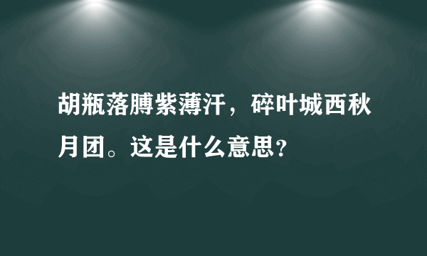 胡瓶落膊紫薄汗，碎叶城西秋月团。这是什么意思？