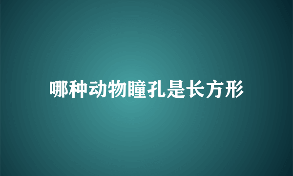 哪种动物瞳孔是长方形