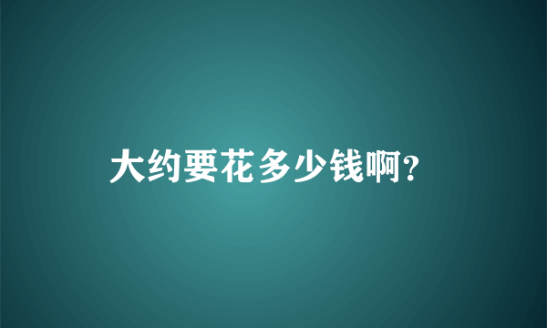 大约要花多少钱啊？