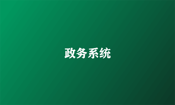 政务系统