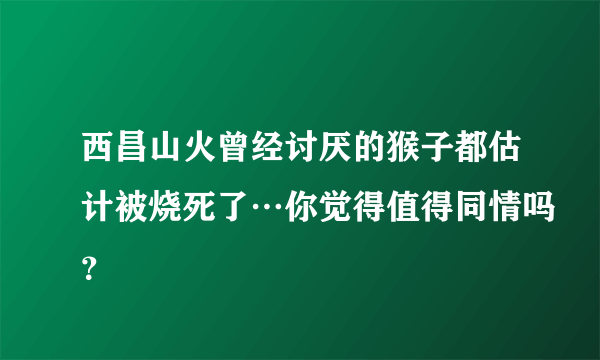 西昌山火曾经讨厌的猴子都估计被烧死了…你觉得值得同情吗？