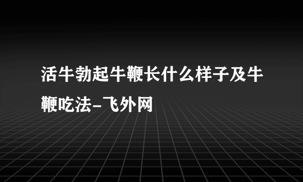 活牛勃起牛鞭长什么样子及牛鞭吃法-飞外网