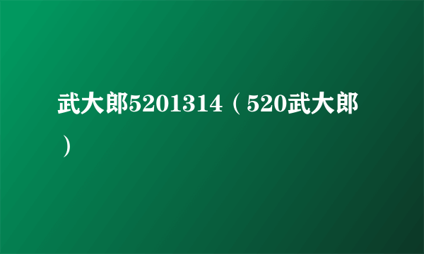 武大郎5201314（520武大郎）