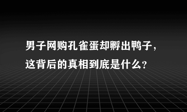 男子网购孔雀蛋却孵出鸭子，这背后的真相到底是什么？