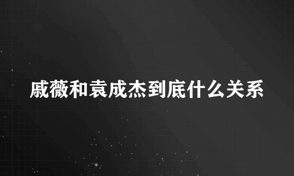 戚薇和袁成杰到底什么关系