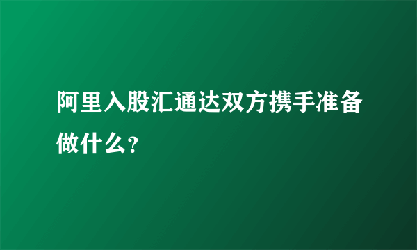 阿里入股汇通达双方携手准备做什么？