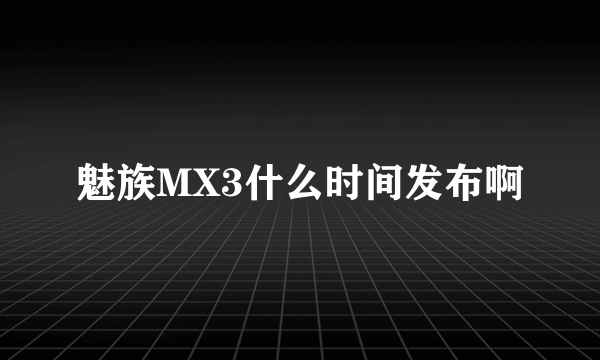 魅族MX3什么时间发布啊