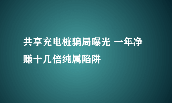 共享充电桩骗局曝光 一年净赚十几倍纯属陷阱