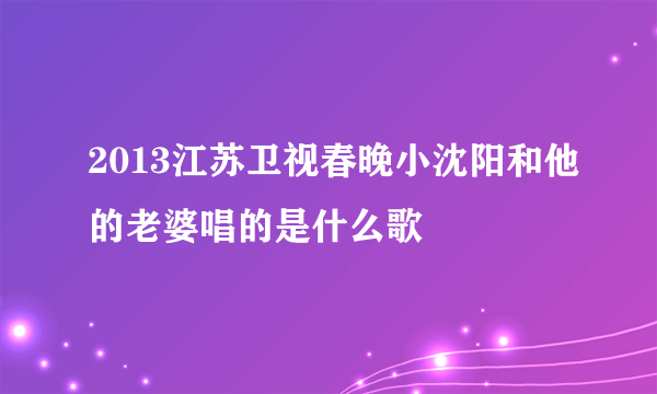 2013江苏卫视春晚小沈阳和他的老婆唱的是什么歌