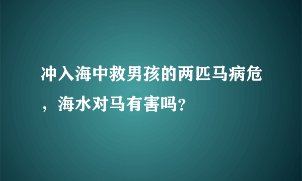 冲入海中救男孩的两匹马病危，海水对马有害吗？