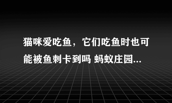 猫咪爱吃鱼，它们吃鱼时也可能被鱼刺卡到吗 蚂蚁庄园今日答案10月21日