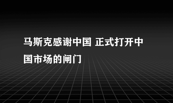 马斯克感谢中国 正式打开中国市场的闸门