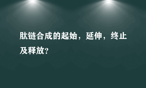 肽链合成的起始，延伸，终止及释放？