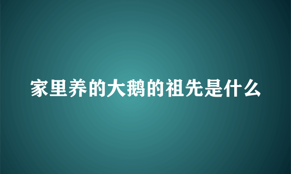 家里养的大鹅的祖先是什么