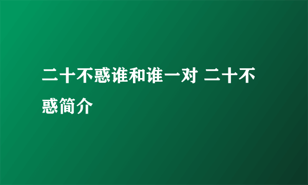 二十不惑谁和谁一对 二十不惑简介